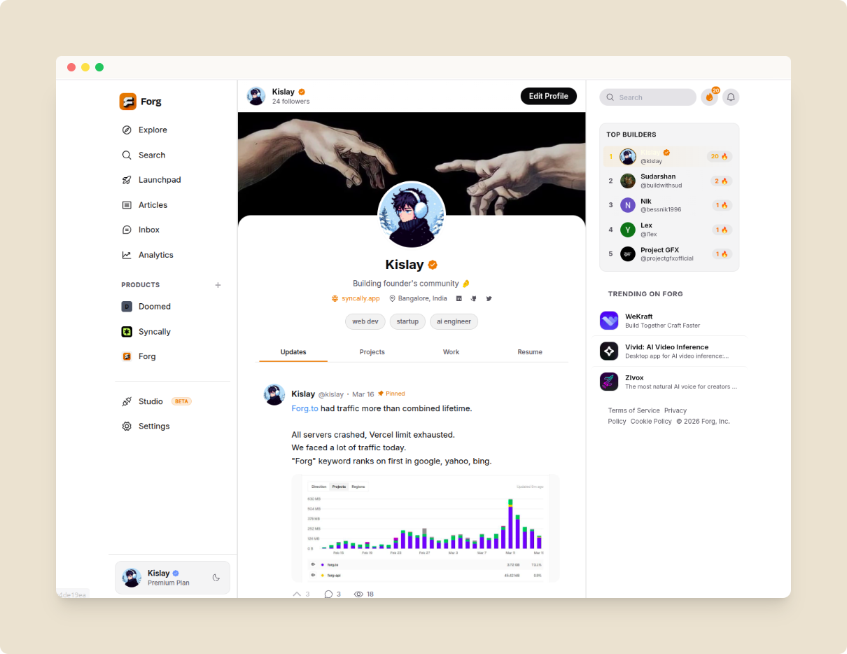 Example of a completed professional profile